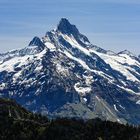 Das Schreckhorn (4078 m) (1) 