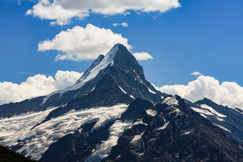 Das Schreckhorn (4078 m) (2) 