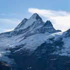 Das Schreckhorn (4078 m.ü.M.)