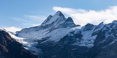 Das Schreckhorn (4078 m.ü.M.)