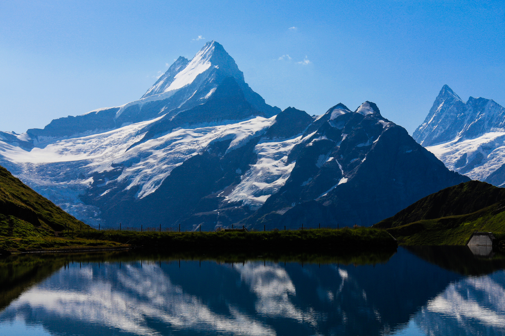 Das Schreckhorn