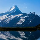 Das Schreckhorn