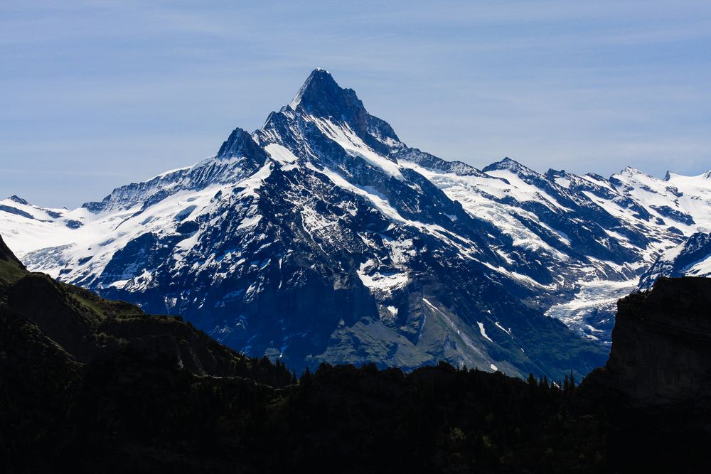 Das Schreckhorn...