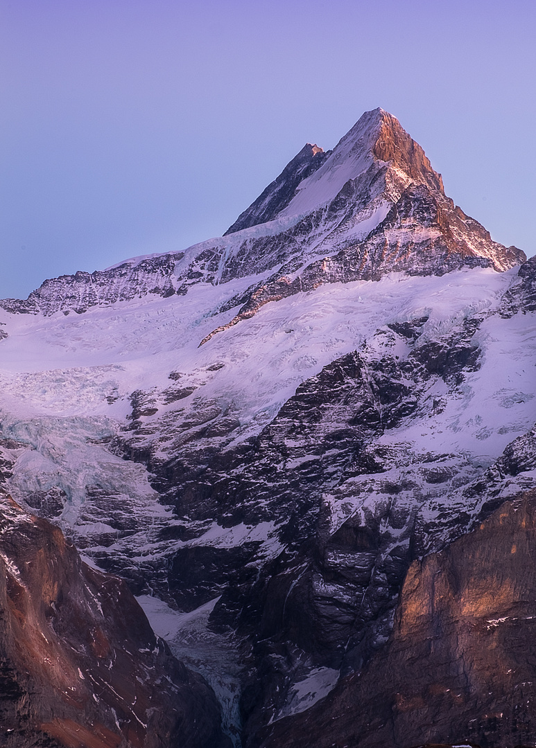 Das Schreckhorn in gross und klein