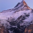 Das Schreckhorn in gross und klein