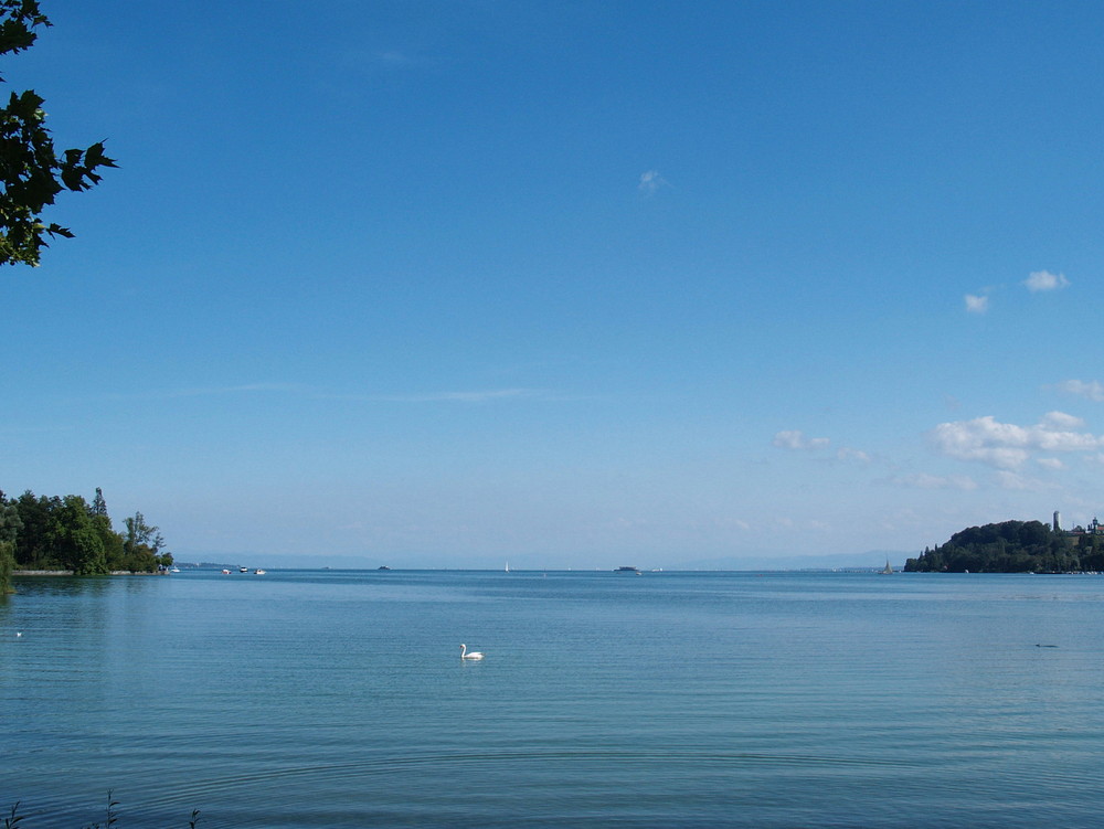 Das schwäbische Meer