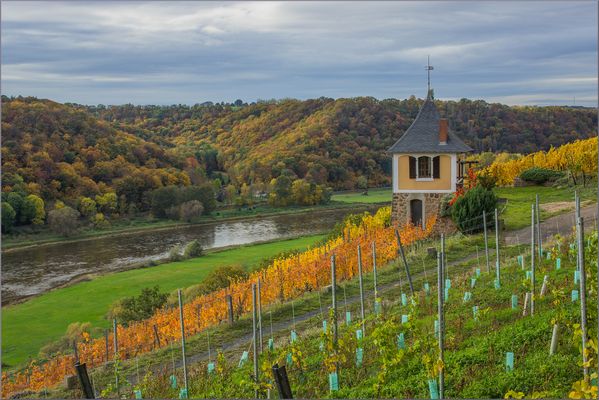 Das 'Schwalbennest’