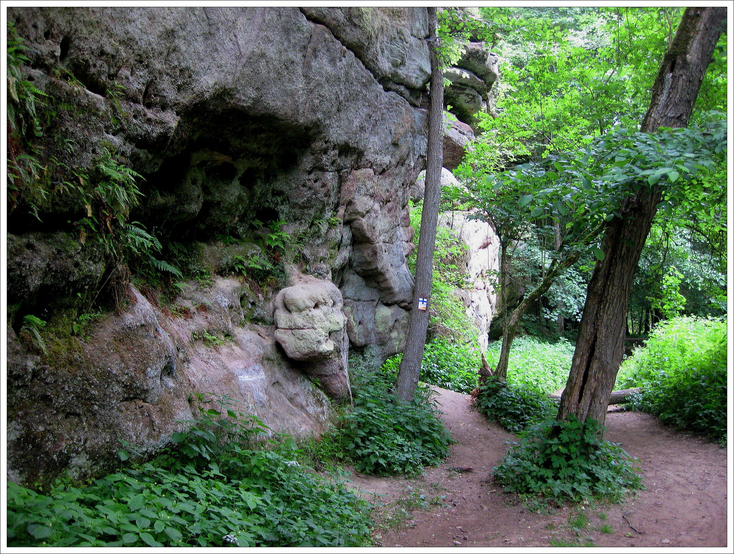 Das Schwarzachtal im Nürnberger Land