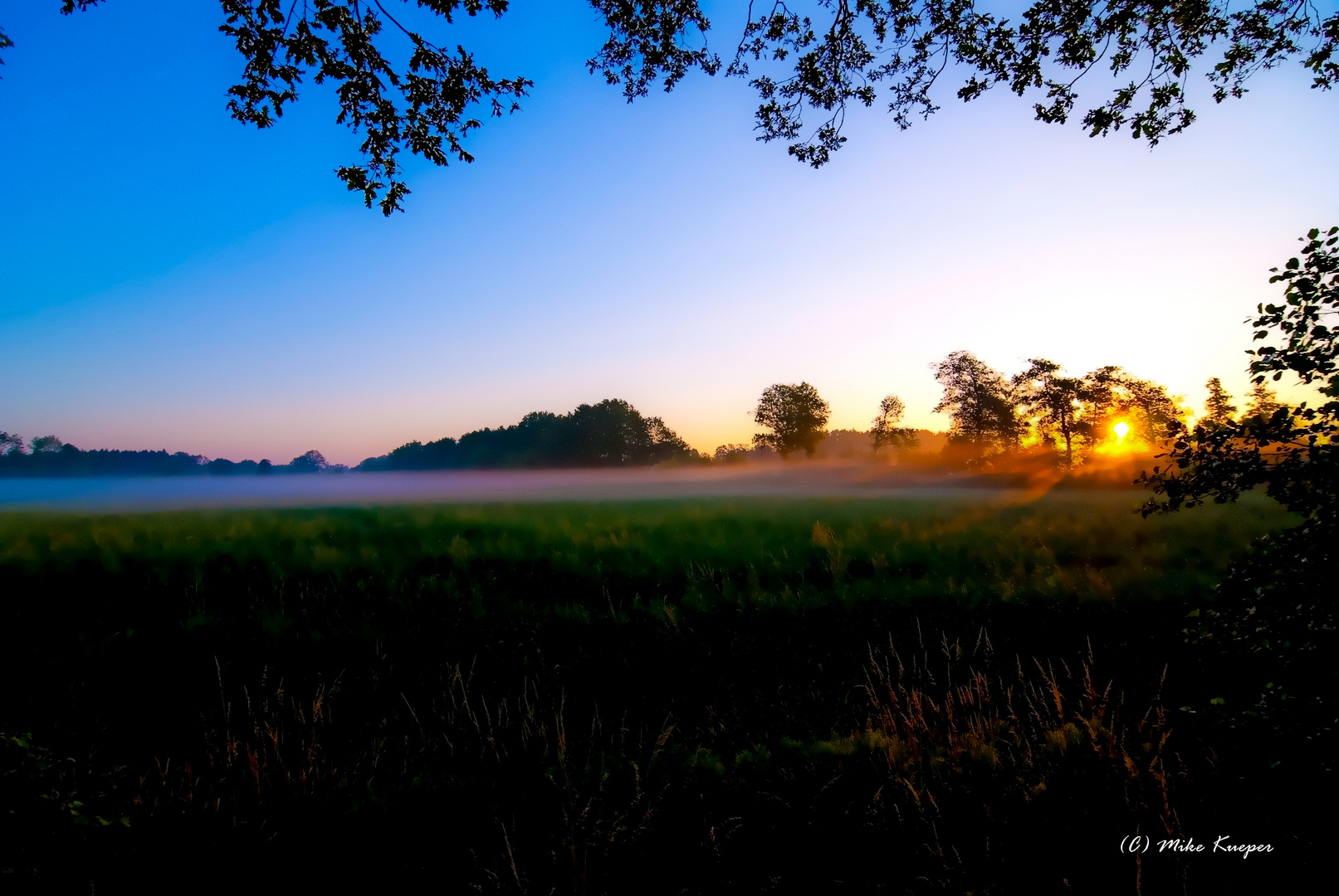 Das (schwarze) Münsterland 5:37