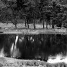 Das Schwarze Wasser in Wesel