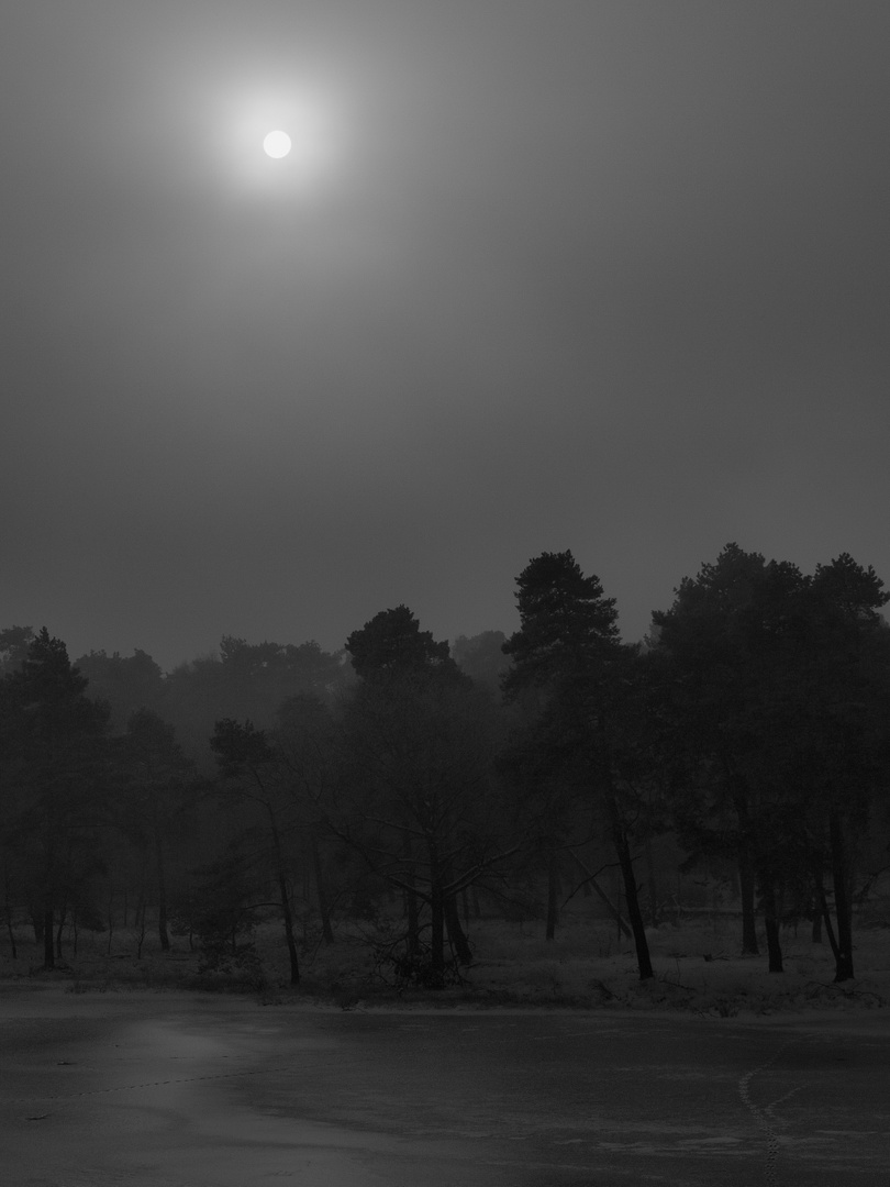 Das Schwarze Wasser in Wesel im Dezembernebel