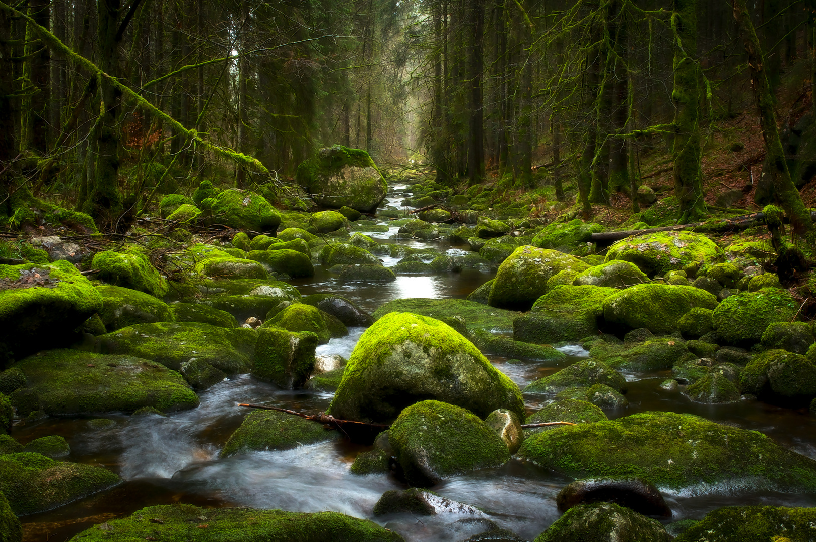 Das Schwarzenbächle bei Todtmoos im Schwarzwald