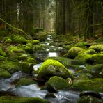 Das Schwarzenbächle bei Todtmoos im Schwarzwald