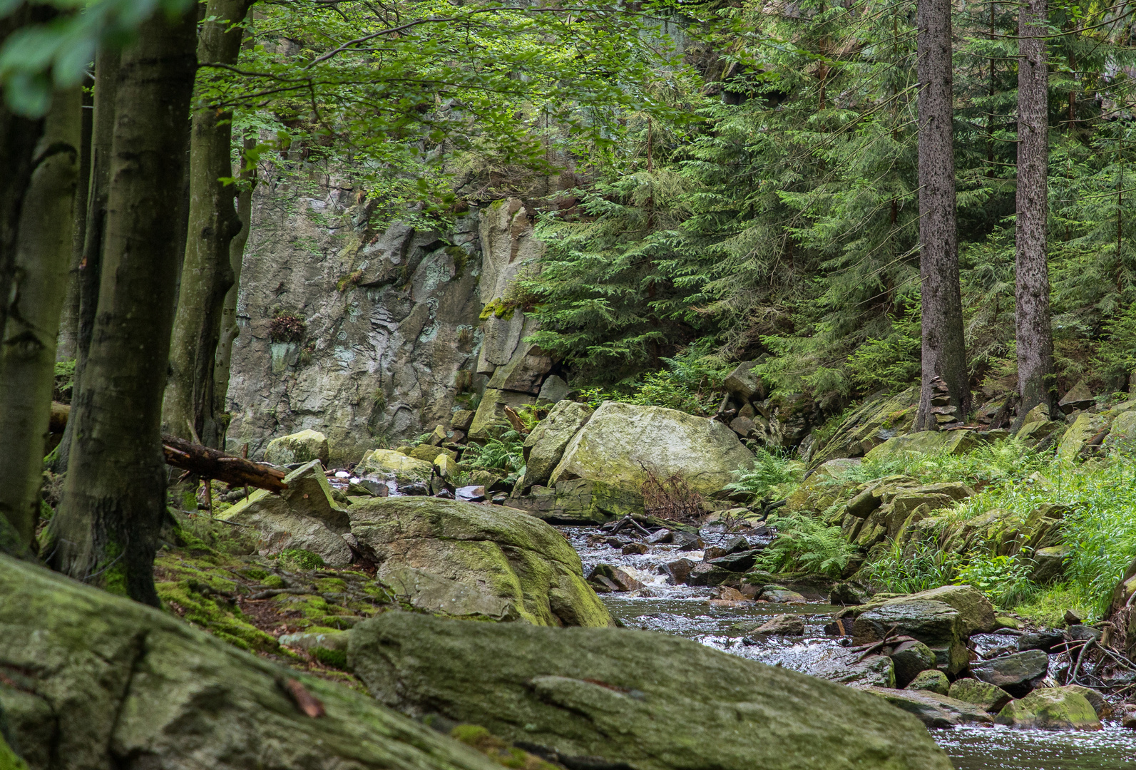 Das Schwarzwassertal im Erzgebirge