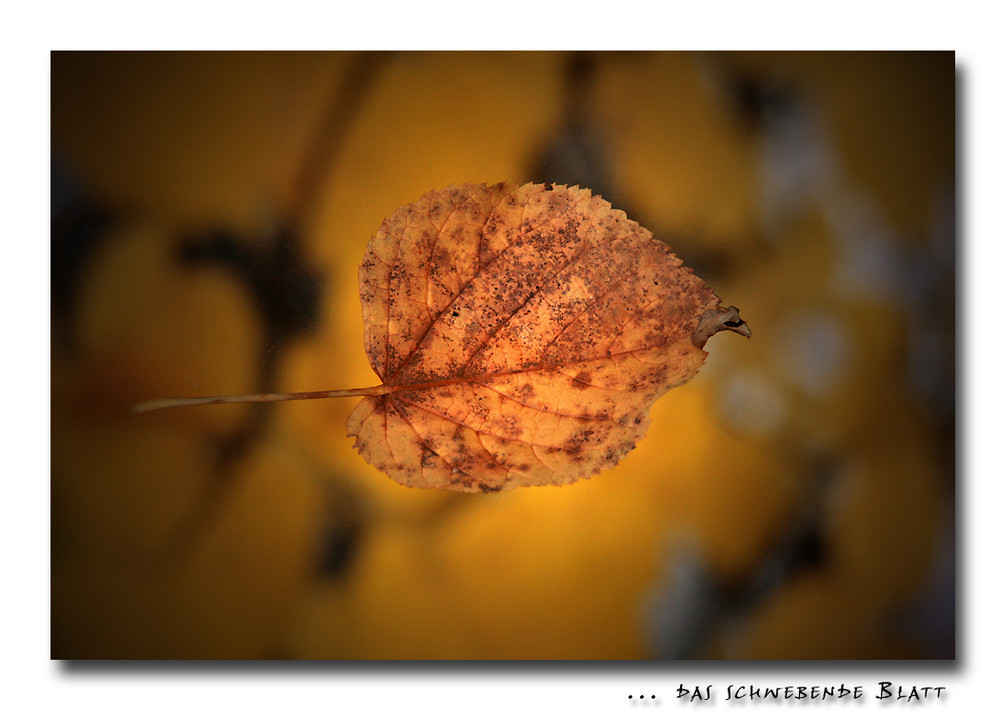 ... das schwebende Blatt