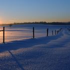 Das Schweigen der Weidezäune