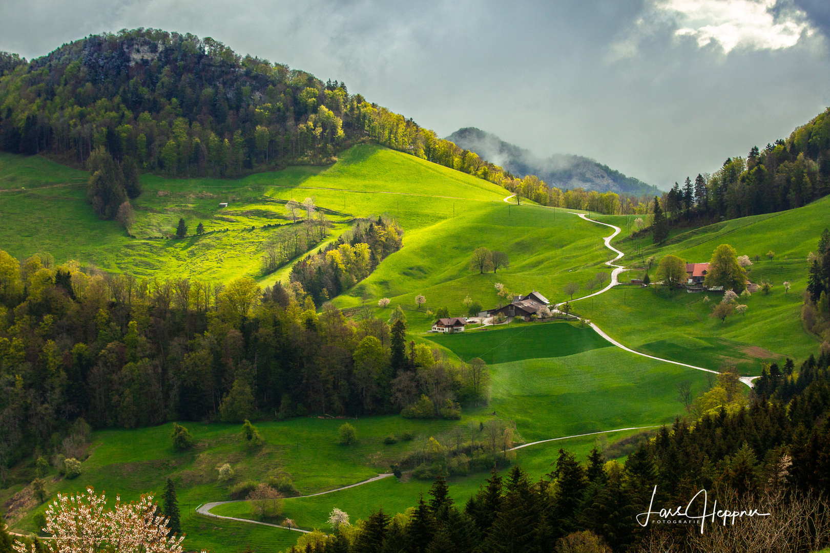 Das Schweizer Jura