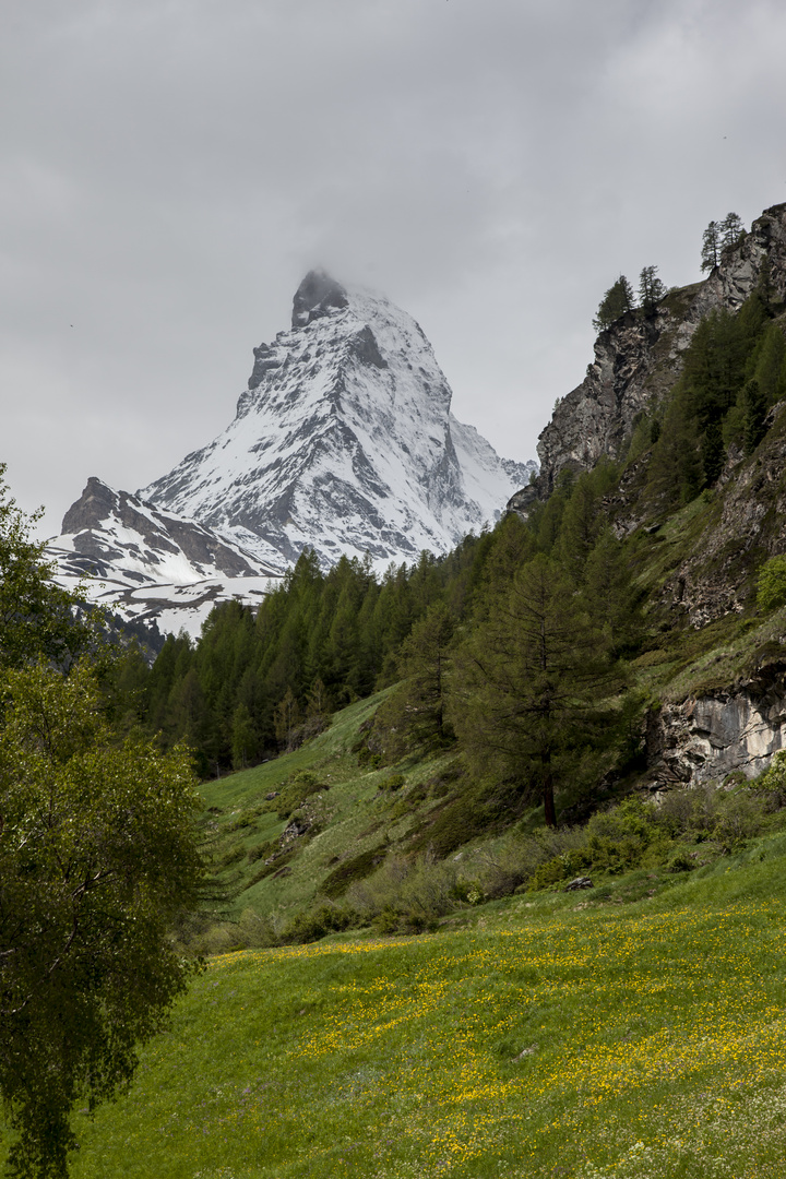 Das Schweizer Wahrzeichen "Das Matterhorn"