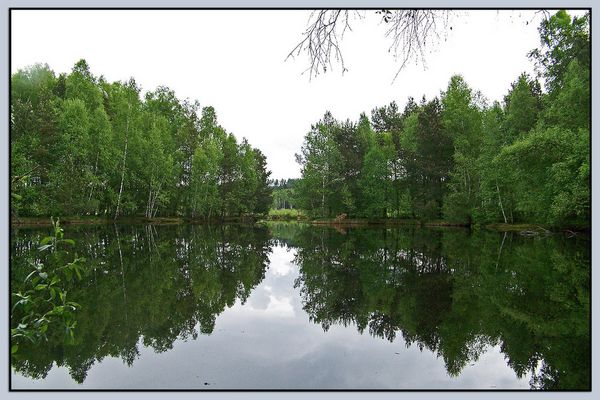 Das Schwenninger Moos...