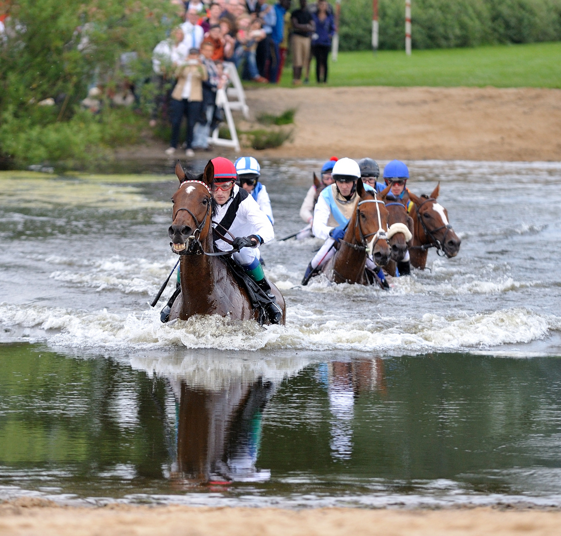 Das Seejagdrennen beim Sparda Derby Meeting 2013 Hamburg