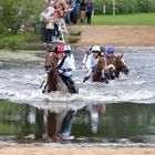 Das Seejagdrennen beim Sparda Derby Meeting 2013 Hamburg