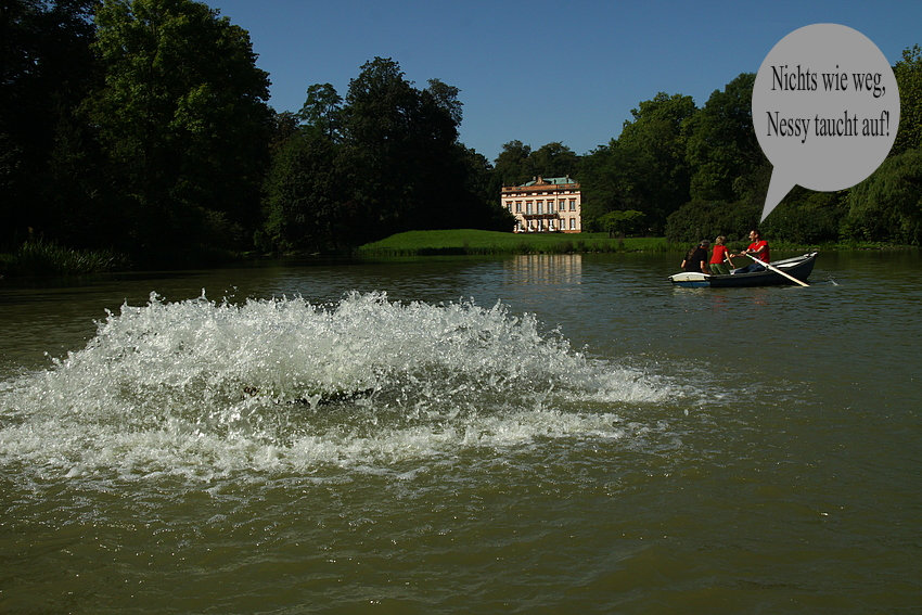 Das Seeungeheuer