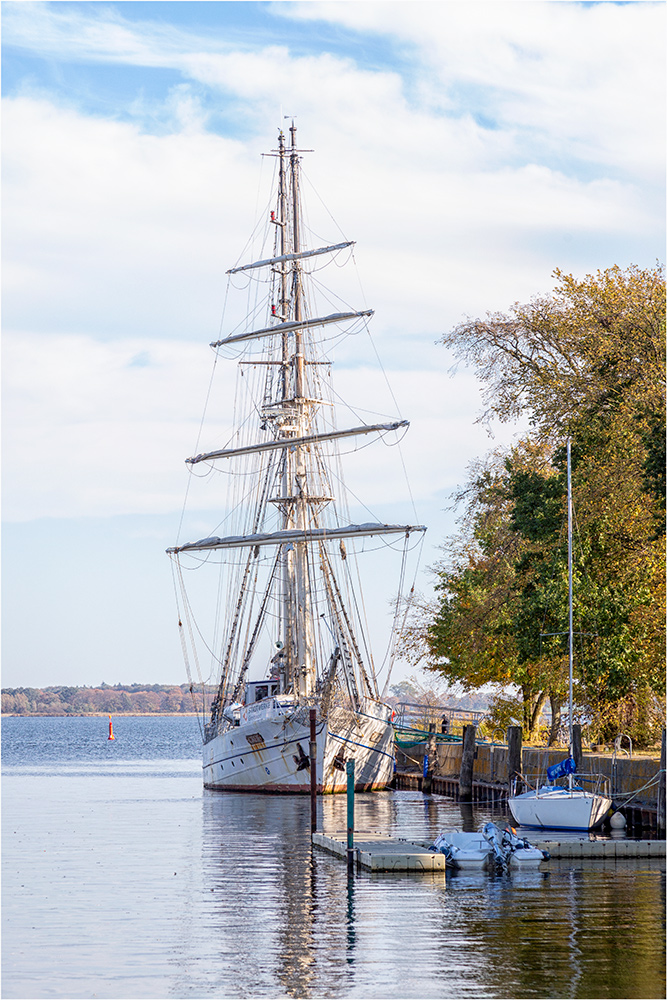 Das Segelschulschiff Greif in Greifswald