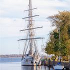 Das Segelschulschiff Greif in Greifswald