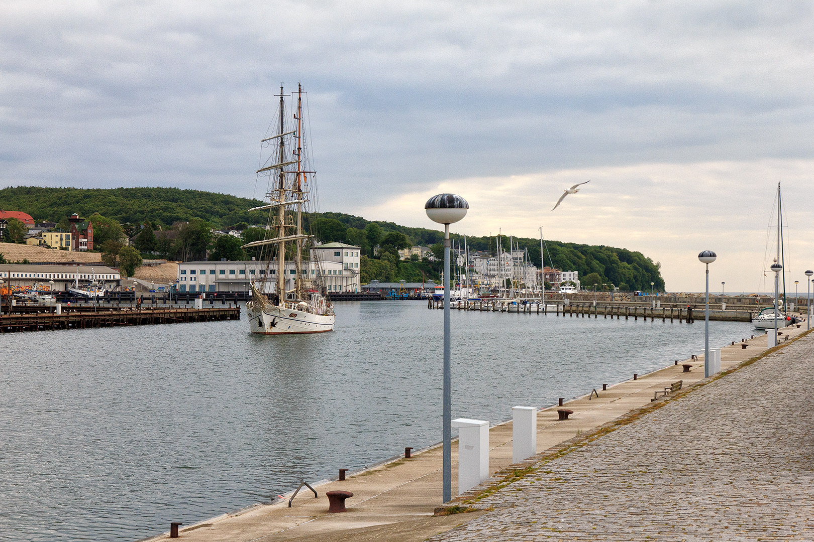 Das Segelschulschiff Greif läuft aus