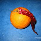 Das seltsame Paarungsverhalten zwischen Paprika und Orange.