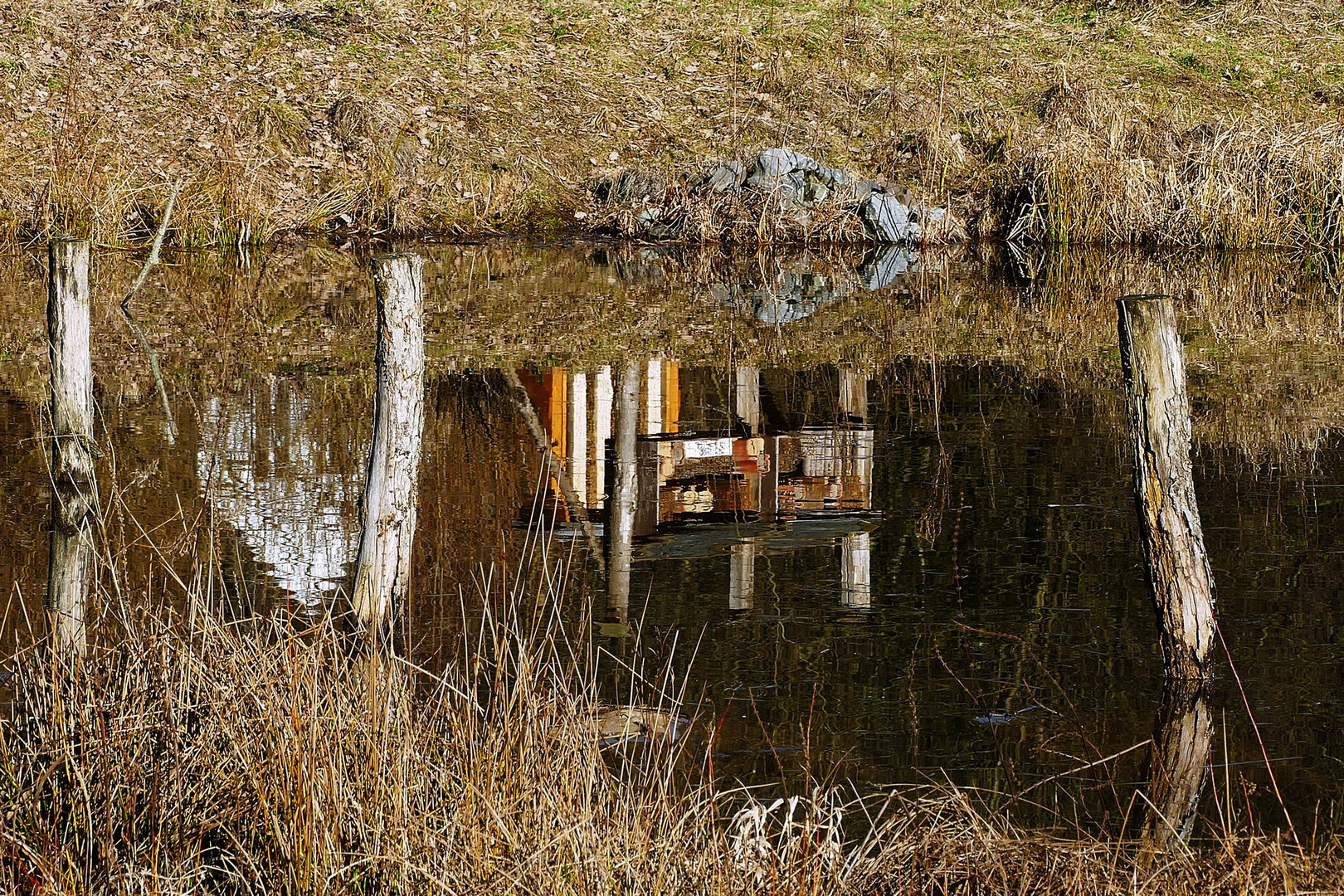 das sich spiegelnde Bienenhaus