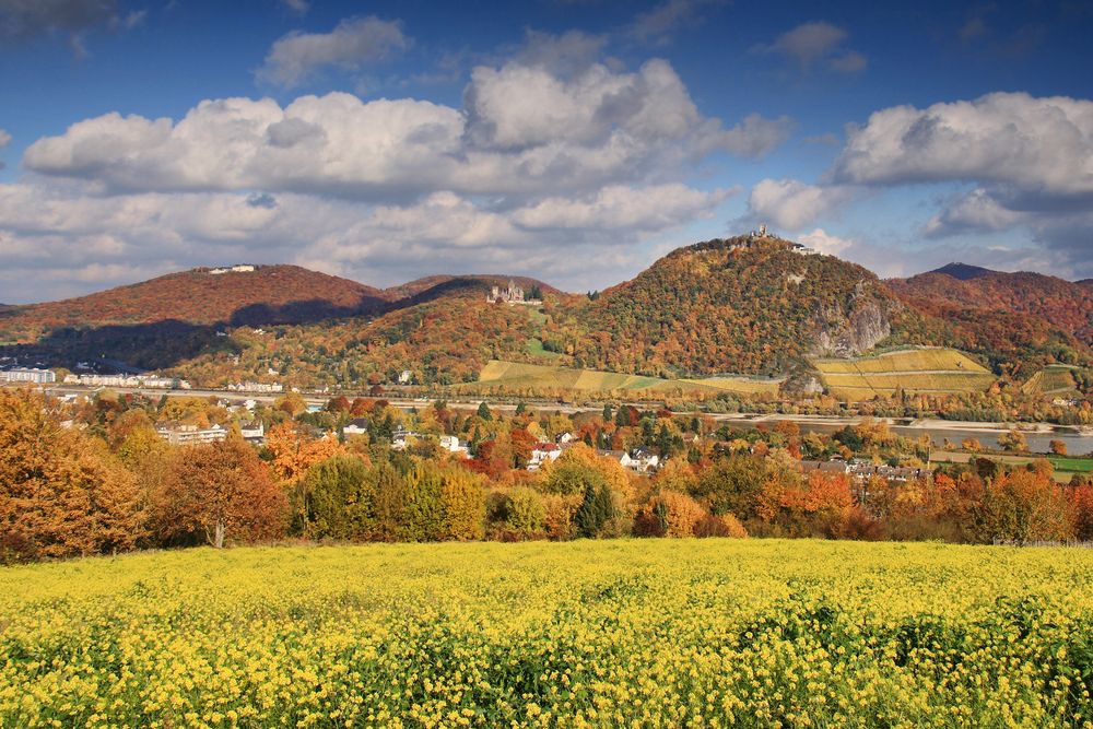 Das Siebengebirge