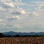 Das Siebengebirge bei Bonn