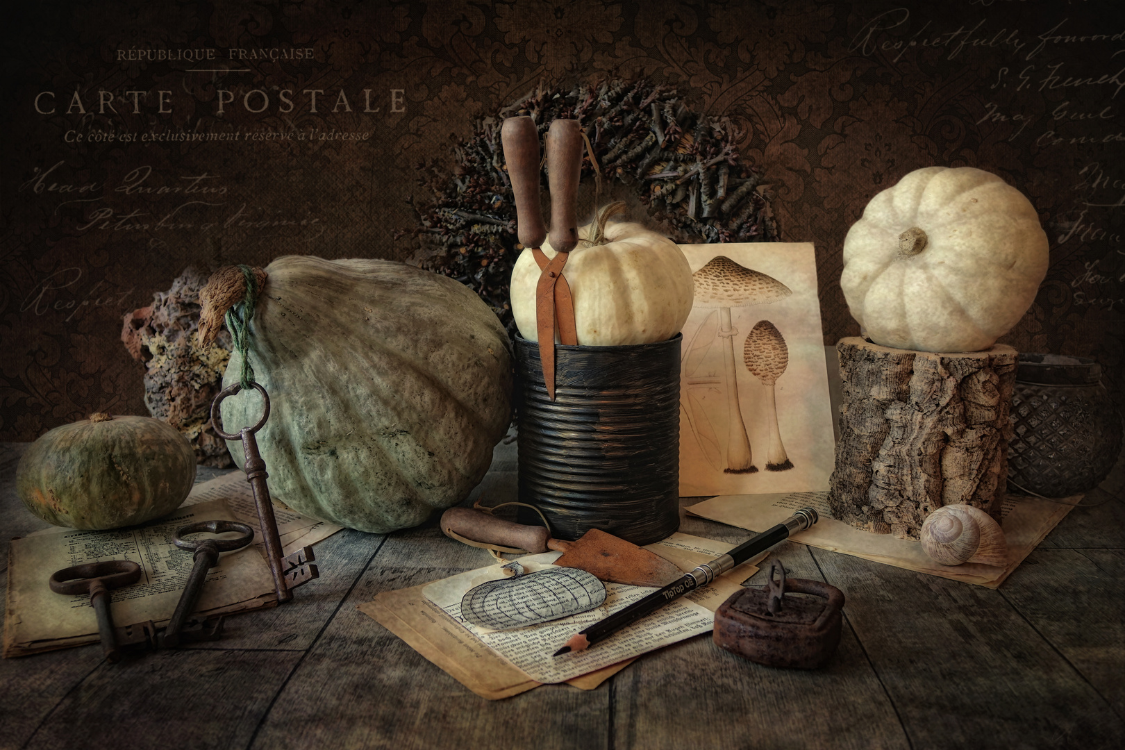 Das Siegerfoto: Stillleben mit Kürbissen