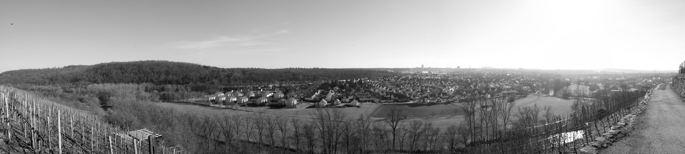 das sieht der Weinberg den ganzen Tag