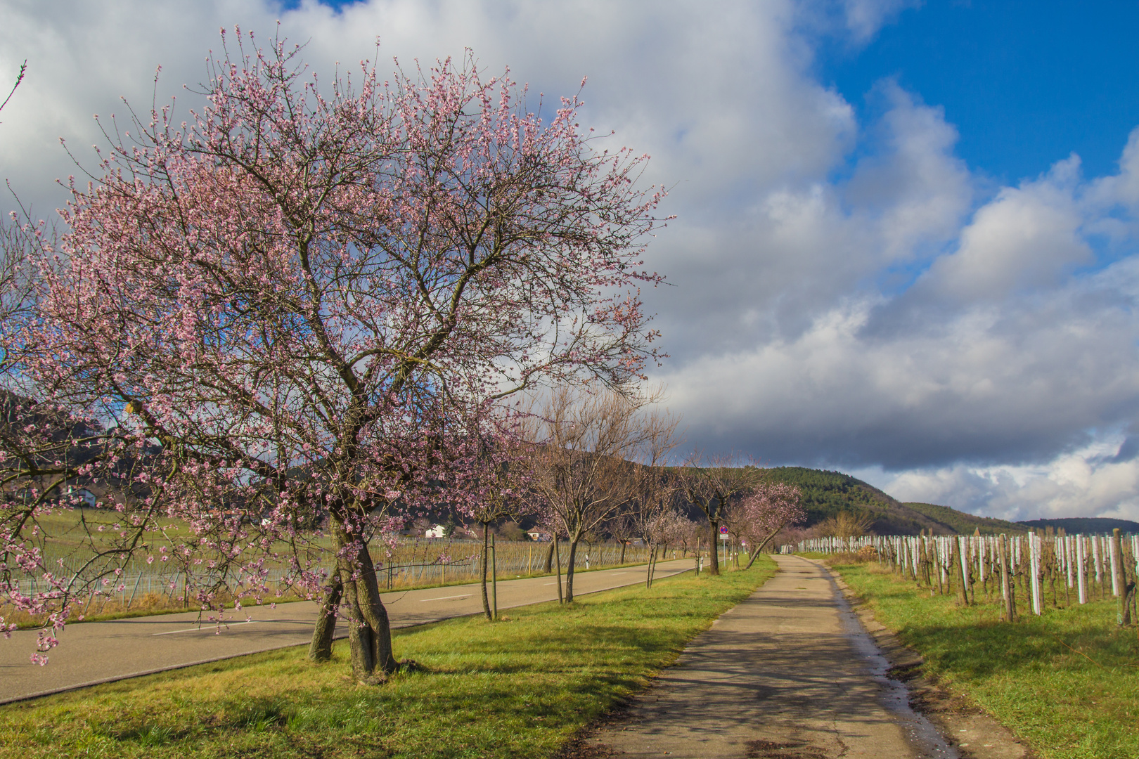 Das sieht schon mal nach Frühling aus