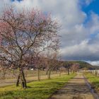 Das sieht schon mal nach Frühling aus