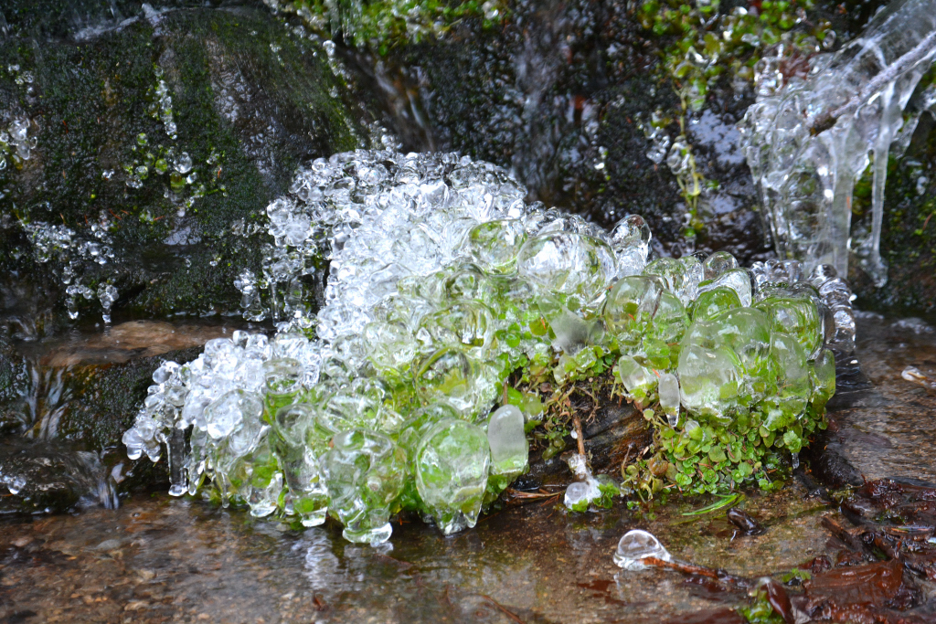 Das Silber des Erzgebirges