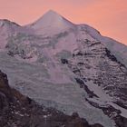 Das Silberhorn, der Jungfrau vorgelagert hat mir auch immer schon gefallen...