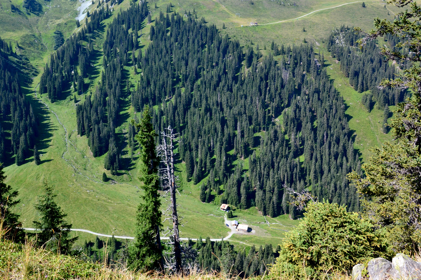 Das sind 200 m Höhenunterschied beim Blick ins Vermieltal…