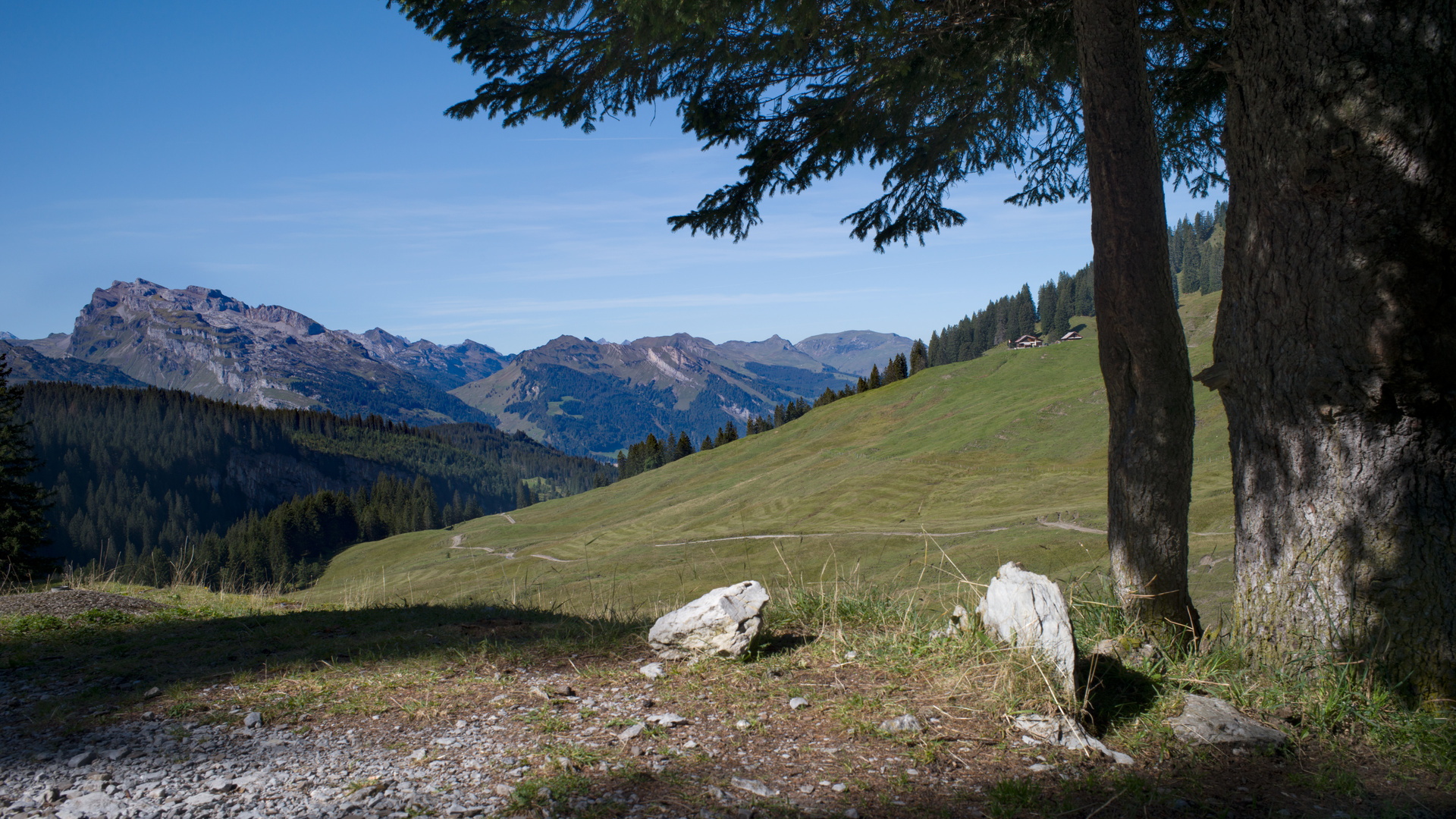 Das sind mal schöne Aussichten