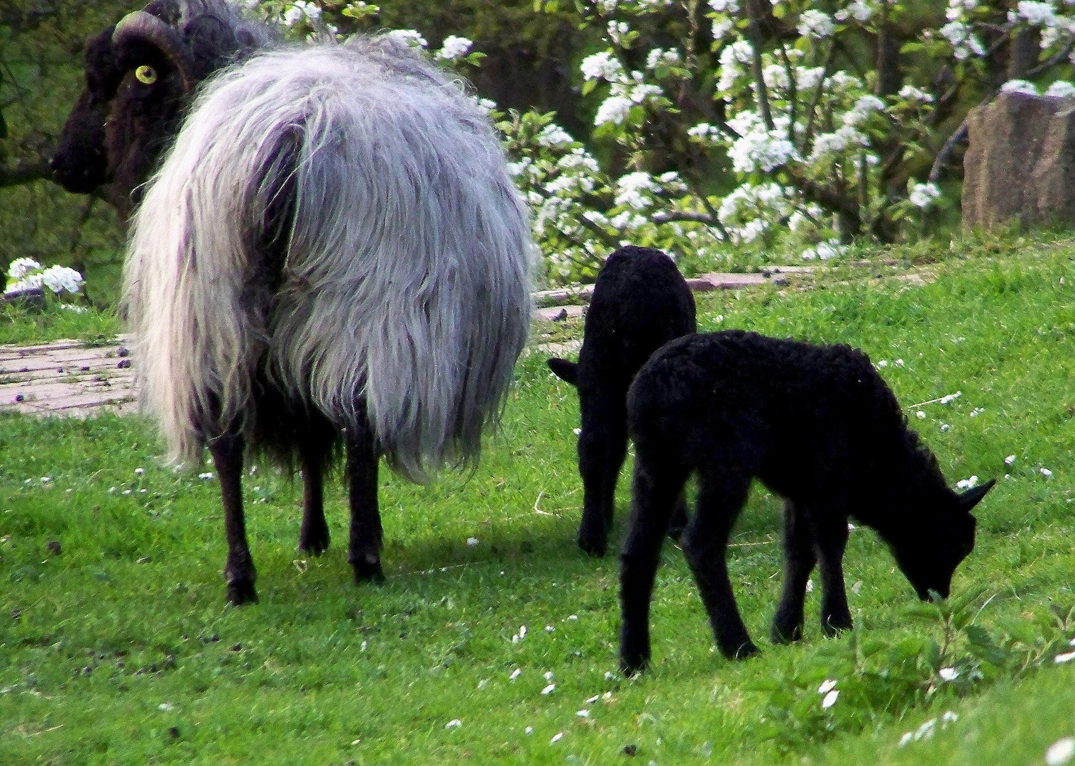 Das sind meine Kinder!