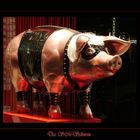 Das SM-Schwein