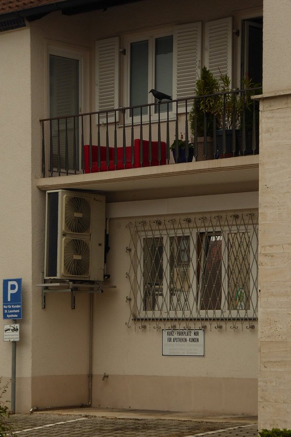Das Sofa, rot, und der Rabe, schwarz Foto & Bild | rot ...