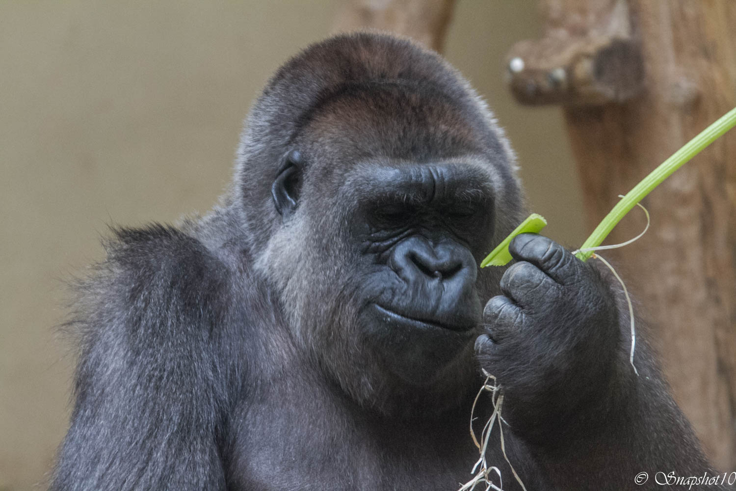 Das soll schmecken?