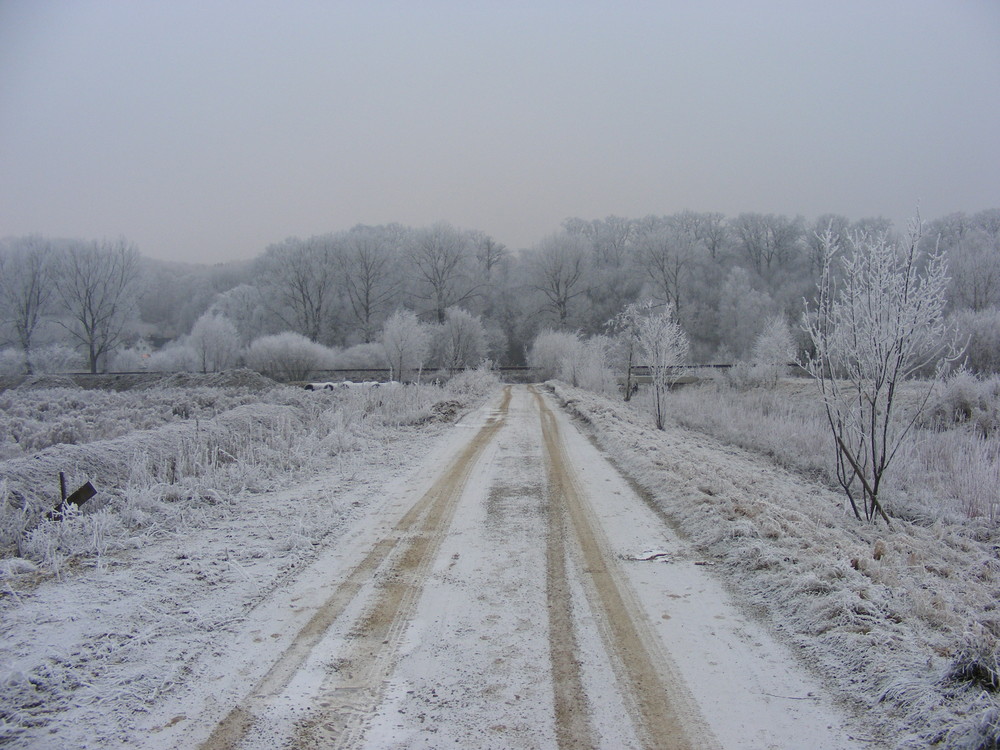 das soll Winter sein?