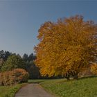 Das sollte man sich nochmal in Erinnerung rufen,