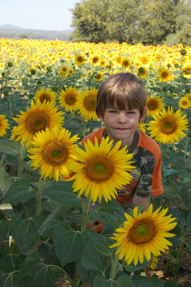 Das Sonnenblumen- kind