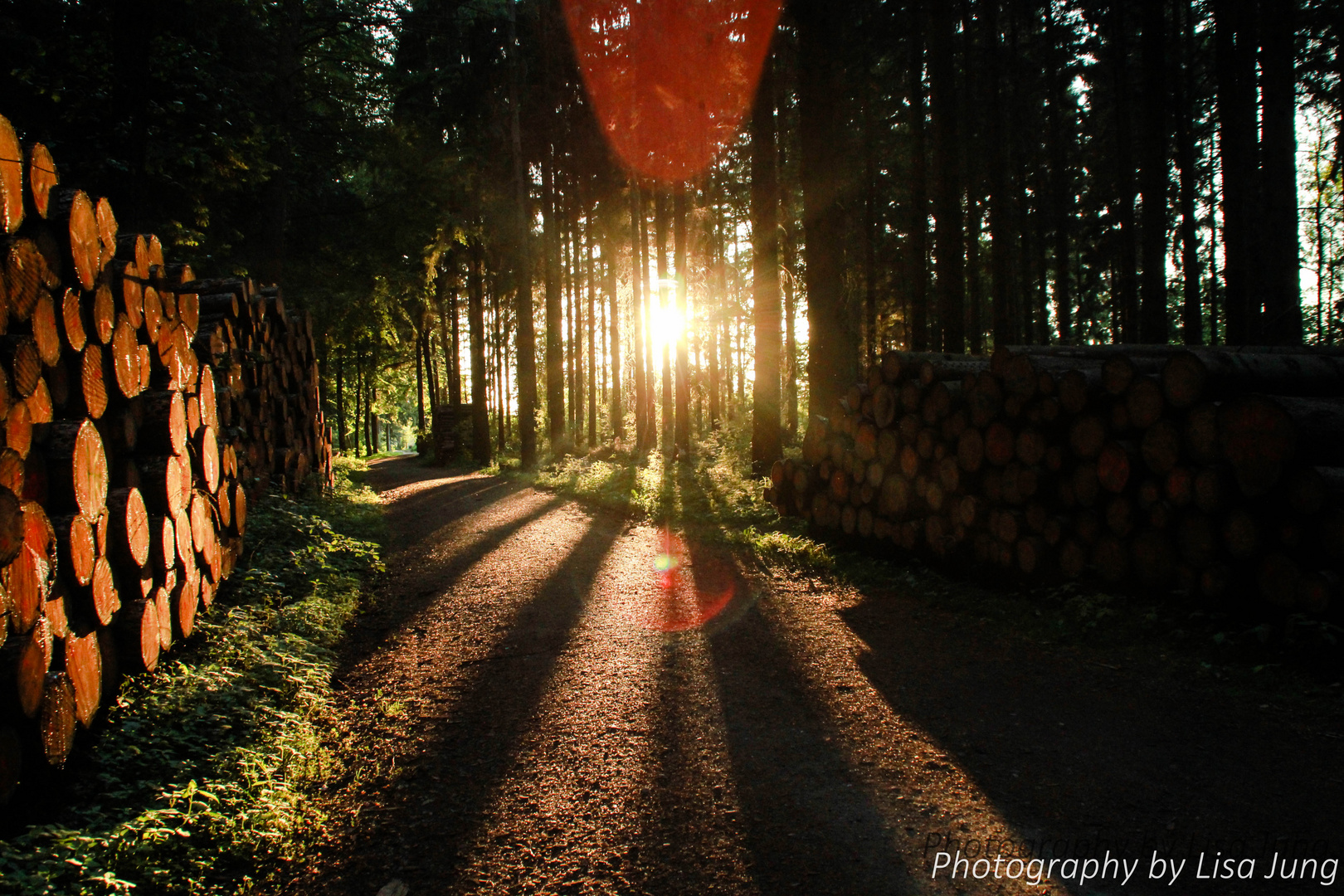 Das Sonnenlicht bahnt sich seinen Weg.