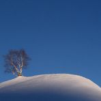 Das Sonnenlicht geht...